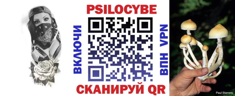 наркошоп  площадка клад  Псилоцибиновые грибы Psilocybe  Великий Новгород 