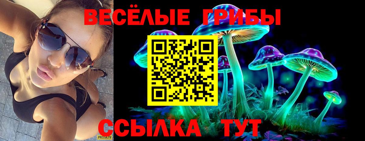 Псилоцибиновые грибы Psilocybe  Вход с VPN  Великий Новгород 